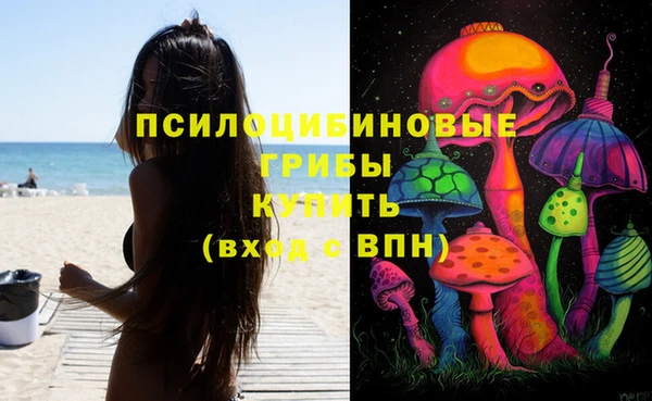 прущий лед Белокуриха