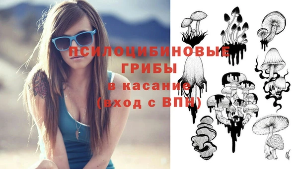 прущий лед Белокуриха
