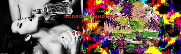 прущий лед Белокуриха