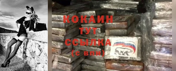 прущий лед Белокуриха